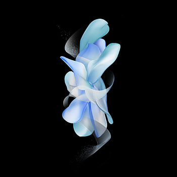 Z Flip 4, art, petal HD phone wallpaper