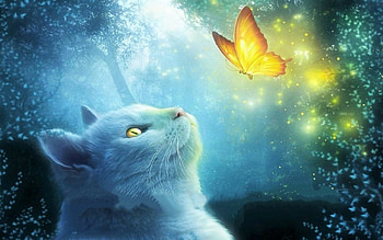 Cat Mesmerized by a Butterfly, animal, golden, glowing, butterfly, pretty, sparkle, cat HD wallpaper