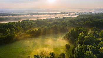 Aerial View Of Trees Bushes Forest Glade With Fog Sunlight During Morning Time Nature HD wallpaper