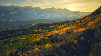 Fall colors on display in Crested Butte, Colorado, aspens, landscape, trees, autumn, larches, forest, usa HD wallpaper
