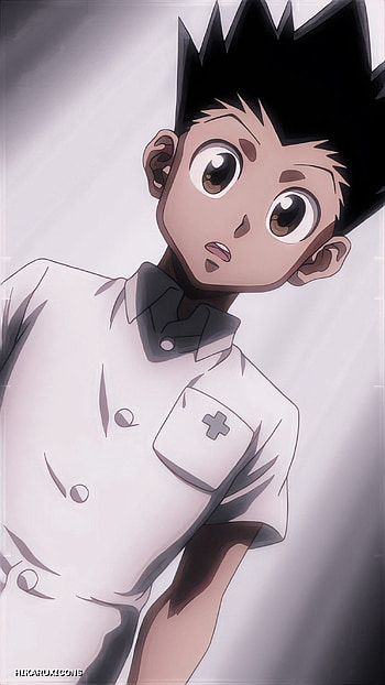 Gon css, Hunter anime, Hunter x Hunter, Epic adventure HD phone wallpaper