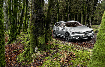 Volkswagen, Cars, Forest, Side View, Moss, Passat HD wallpaper