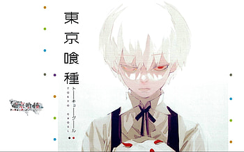 Ken Kaneki, Tokyo Ghoul, portrait, Japanese manga, anime characters, Tokyo Ghoul characters, Ken Kaneki Tokyo Ghoul HD wallpaper