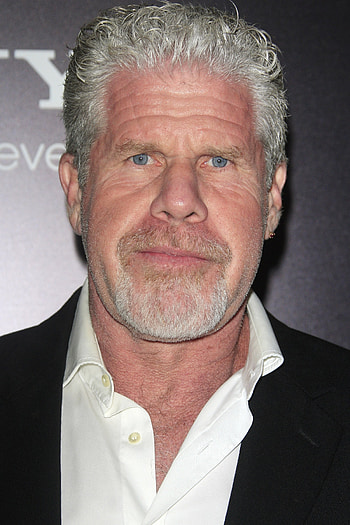 Ron Perlman, Movies, Profile , TMDB HD phone wallpaper