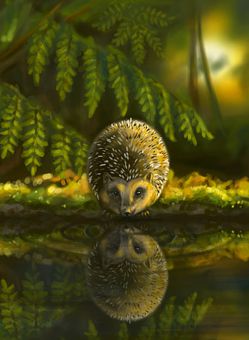 Art, Animal, Nice, Sweetheart, Hedgehog HD phone wallpaper