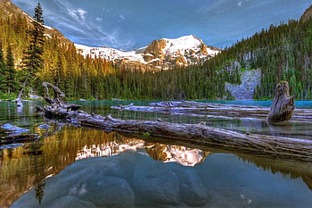 Woods in Lake, cool, woods, in lake HD wallpaper