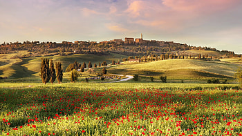 Tuscany Hills Trees Red Common Poppy Flowers Field Under White Clouds Blue Sky Nature HD wallpaper