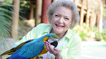 Betty White, Movies, Zoo honors, Longtime supporter HD wallpaper