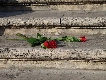 red roses, spanish, rome, roses, red, steps HD wallpaper