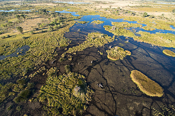 Okavango Delta, Travels, Safari experience, Unforgettable journey HD wallpaper