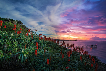 ღ, San Diego, Evening, Clouds, Sky HD wallpaper