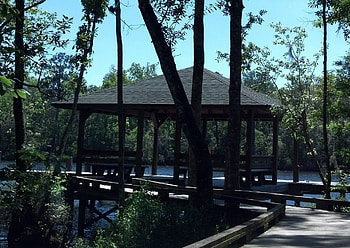 Nature, Trees, Wharf, Berth HD wallpaper