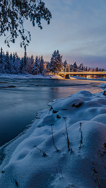 Finland travels, Riverside beauty, Forest scenery, Sony Xperia HD phone wallpaper