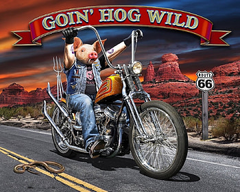 Goin' Hog Wild, R66, hog, wild, motorbike, funny HD wallpaper