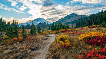 Autumnal sunset at Mt. Rainier National Park, Washington, fall, clouds, landscape, colors, trees, sky, usa HD wallpaper