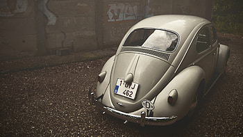 Volkswagen Beetle Vintage, volkswagen, cars, vintage, beetle HD wallpaper
