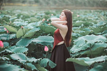 A serene portrait of a young woman standing amidst a lush green lotus field under daylight. HD wallpaper