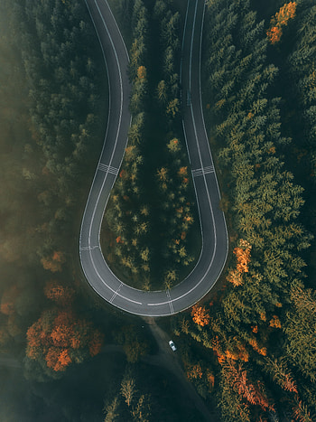 Nature, View From Above, Road, Turn, Forest, Winding, Sinuous HD phone wallpaper
