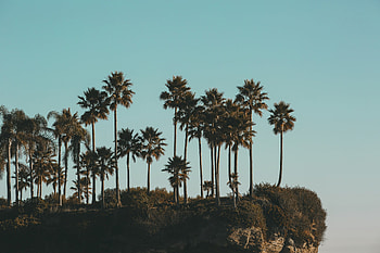 Laguna Beach, Visit Laguna Beach, Explore the coastal wonder HD wallpaper