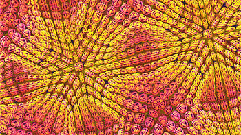 Yellow Pink Shapes Stripes Curves Abstraction Abstract HD wallpaper