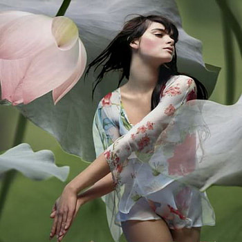 wind, fly, beauty, flower HD wallpaper