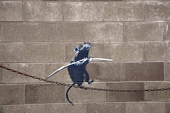 Tightrope Rat, Banksy HD wallpaper