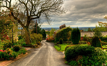 Road HD wallpaper