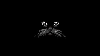 Cat Vector, cat, animals, vector HD wallpaper