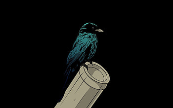 Vector, Bird, Trumpet, Pipe, Crow HD wallpaper