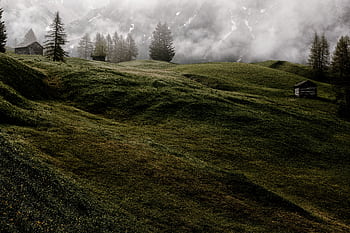 A serene misty mountain landscape featuring foggy meadows, pine trees, and rustic cabins. HD wallpaper