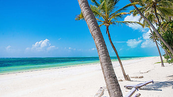 Zanzibar Travels, Stunning beaches, Snorkeling adventures, Relaxation bliss HD wallpaper