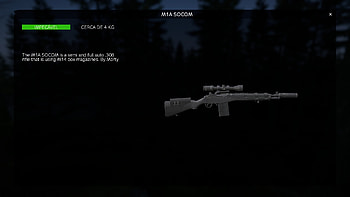 Gun, video game, DayZ HD wallpaper