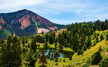 Roadside Lake in Yellowstone National Park, mountain, trees, landscape, clouds, sky, usa, wyoming HD wallpaper