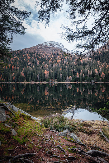 Nature, Water, Trees, Mountain, Lake, Reflection HD phone wallpaper