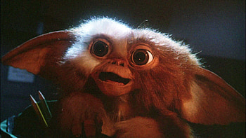 Gizmo , Charming creature, Movie-inspired, Fan-favorite HD wallpaper