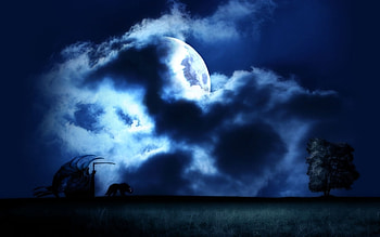 Fantasy, Night, Moon HD wallpaper