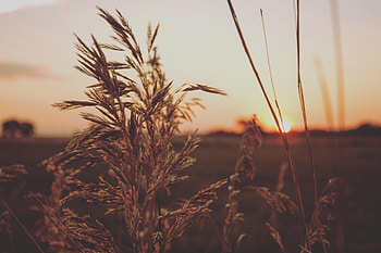 Sunsets, sunset, nature HD wallpaper