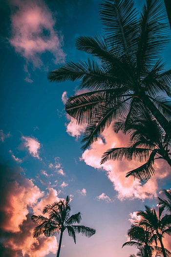 top 31 summer , High definition , Breath-taking summer sceneries, Stunning and HD phone wallpaper