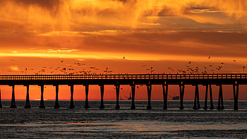 Nature, Birds, Sunset, Sea, Twilight, Dusk, Bridge HD wallpaper