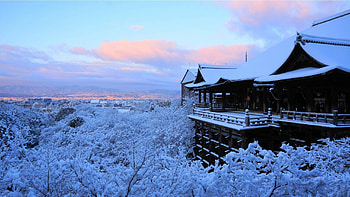 Japan , Artistic beauty, Serene landscapes, Captivating ry HD wallpaper