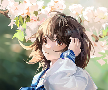 Anime Girl, Girl, Anime, hair, School HD wallpaper