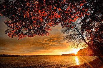 Sunset On The River, river, hills, clouds, golden hour, beautiful, sunset, maple trees HD wallpaper