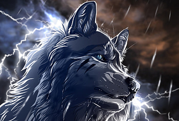 Anime Wolf, animal, scar, anime, wolf HD wallpaper