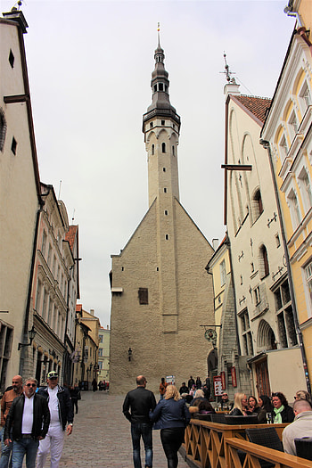 Tallinn Town Hall, Estonia, Tallinna raekoda, Aroma Asian HD phone wallpaper