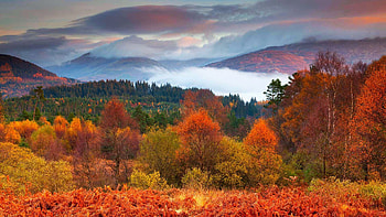 National Park Loch Lomond and the Trossachs, Scotland, sky, fall, landscape, trees, colors, clouds HD wallpaper