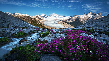 The Coastal mountains of British Columbia, blossoms, landscape, clouds, sky, flowers, spring, rocks, canada HD wallpaper