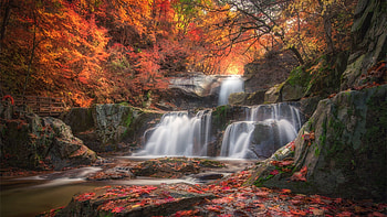 Autumn Waterfall, leaves, forest, fall, cascades, trees, colors HD wallpaper