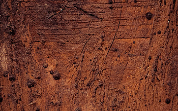 brown soil texture, , ground texturex, brown ground background, 3D textures, brown ground texture, soil textures, natural texture HD wallpaper