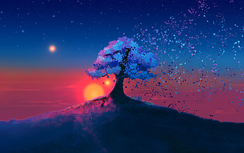 Fading tree, , Nature background, Tree silhouette HD wallpaper