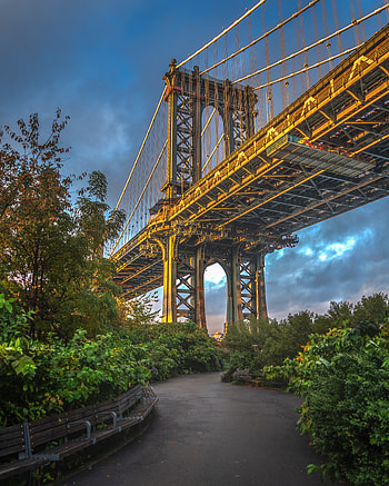 Cities, Bush, Road, Bridge HD phone wallpaper